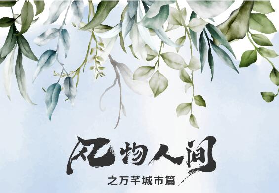 風物人間·體驗萬芊城市風味